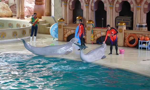 Dufan - Ocean Dream Samudra/Atlantis